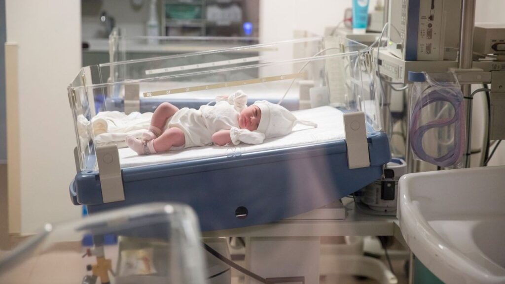 Almanya’da son 23 yılın en yüksek doğum sayısı kaydedildi