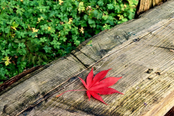 Babaları özel hissettirecek ikram alternatifleri