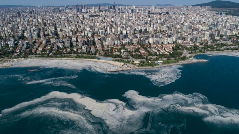 Deniz salyası: Müsilaj hareket planı kapsamında hangi adımlar atılacak, uzmanlar ne düşünüyor?