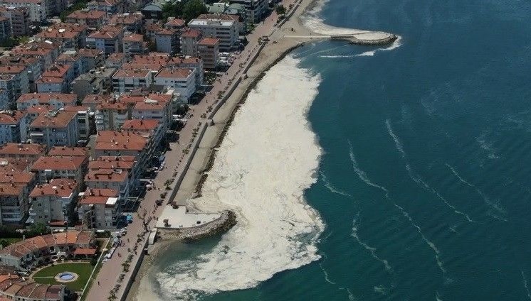 Deniz salyasıyla ile ilgili fay çizgisi uyarısı: Adalar bölgesi incelenmeli