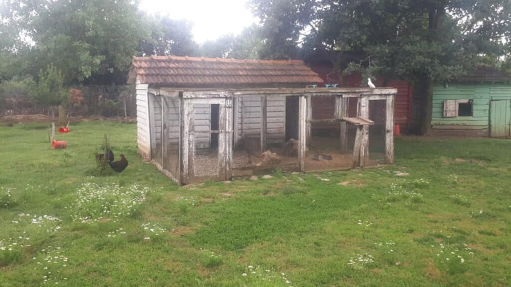 Düzgün Partili Türkkan’dan çiftlik açıklaması: Burası kaçak yapılan bir yer değildir; tapuları mevcuttur