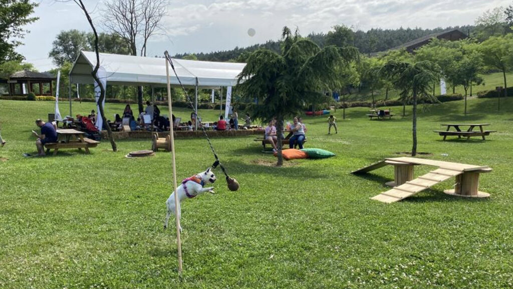 Hayvanseverler, Pet Şenliği’nde buluştu