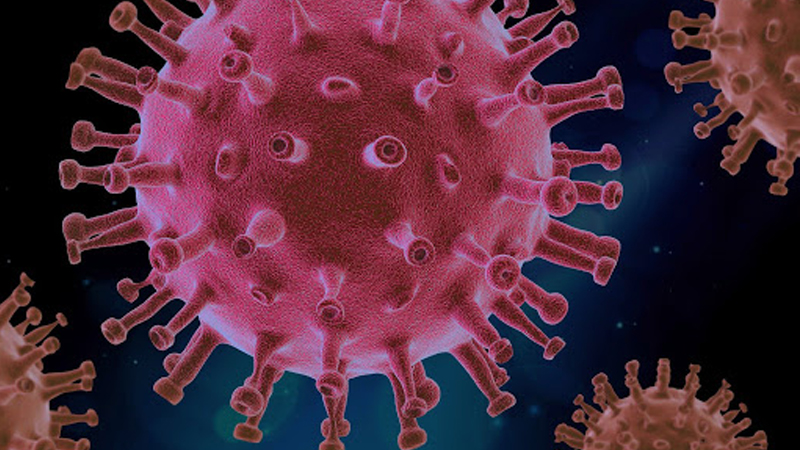 Prof. Dr. Murat Digiçaylıoğlu: Koronavirüs, hafıza sorunu ve algılama eksikliğine neden oluyor