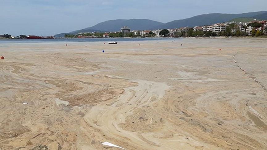 Prof. Dr. Taş’tan müsilaj uyarısı: Marmara Denizi’nde yaşanan felaketin Karadeniz’de yaşanmaması için acilen önlem alınmalı