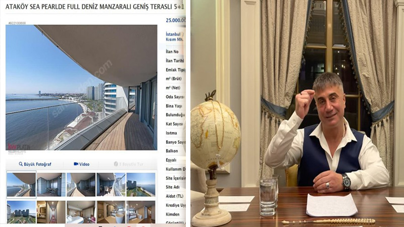 Sedat Peker: Pak Sülüman, oğlun Engin Soylu, dört gündür 25-30 milyon bedelindeki dairede kalıp keyif ediyor