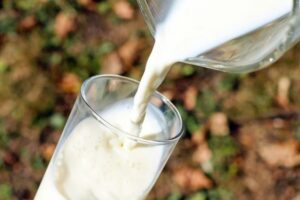 “Süt içemeyenler, kalsiyum muhtaçlığını maden suyundan karşılayabilirler’”