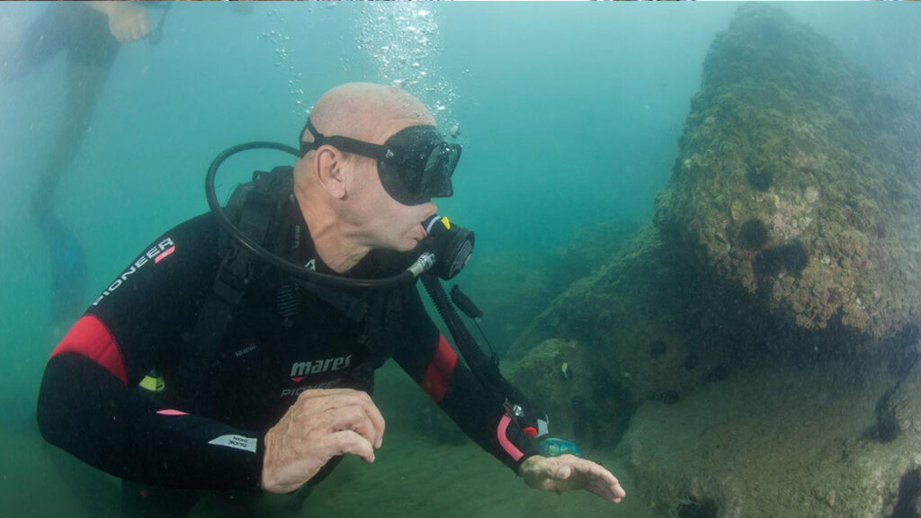 Tunç Soyer, Güzelbahçe Halk Plajı’ndan tüplü dalış yaptı: Körfez’deki canlı hayatı çeşitlenerek devam ediyor; müsilajdan eser yok