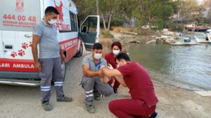 Bodrum Belediyesi ekipleri, hayvanlara yerinde müdahale etti