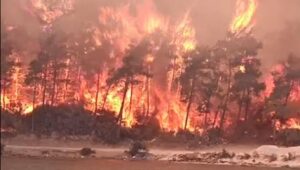Bodrum’daki yangın otele sıçradı