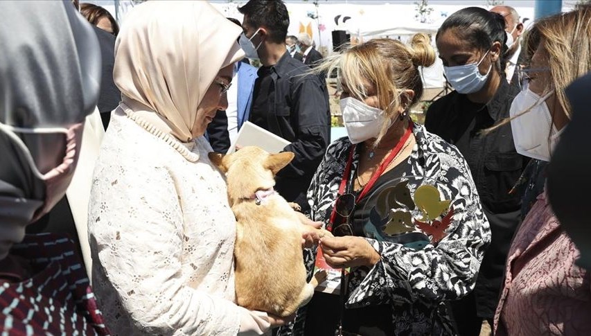 Emine Erdoğan ses telleri kesilen köpeği Yonca Evcimik’e emanet etti