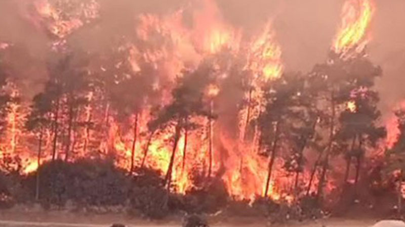 İzmir Büyükşehir Belediye Başkanı: İzmir’de ormanlara girişler valilikçe yasaklandı