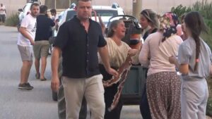 Manavgat’taki yangında sera ve ağaçları yanan kadınlar, güçlükle sakinleştirildi