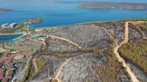 Tarım ve Orman Bakanlığı’ndan uçak açıklaması: Havada ne kullandığınız değil, yere ne kadar su attığınız önemlidir