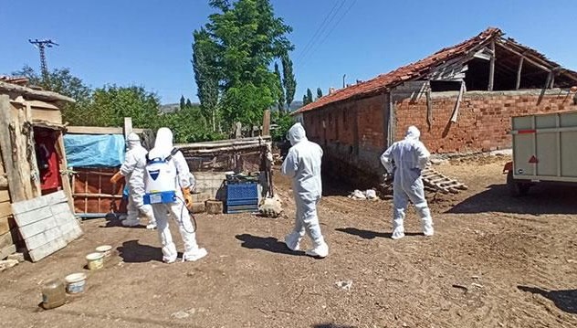 Tokat’ta kuş gribi şüphesi: 200 hayvan itlaf edildi