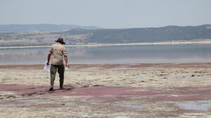 Acıgöl için acil önlem çağrısı: Burada üreyen ve konaklayan yaklaşık 200 çeşit kuş türü vardı, bunların birçoğuna artık rastlayamıyoruz
