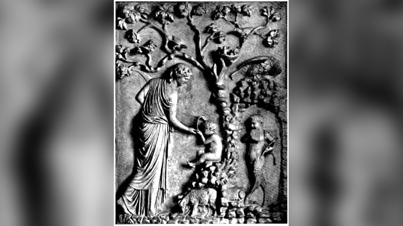 Akdeniz’e ağıt; ağustosta doğanın ölümü