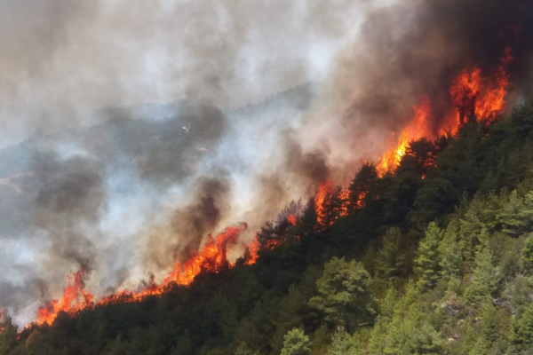 Alevler Gündoğmuş’ta Karaisa köyüne ulaştı