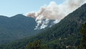 Antalya Akseki’deki orman yangınıyla ilgili bir kişi tutuklandı
