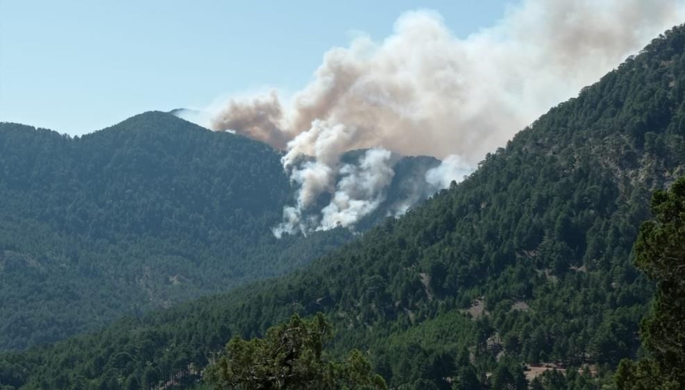 Antalya Akseki’deki orman yangınıyla ilgili bir kişi tutuklandı