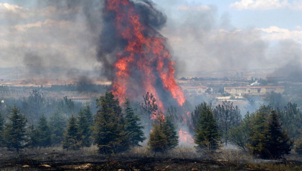 AOÇ’deki yangının şüphelisi için istenen ceza belli oldu
