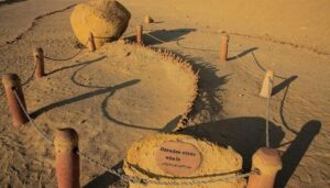 Araştırma: Dört ayaklı 43 milyon yıllık balina fosili keşfedildi