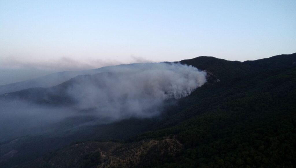 Bakan açıkladı: Kazdağları’ndaki yangın kontrol altında