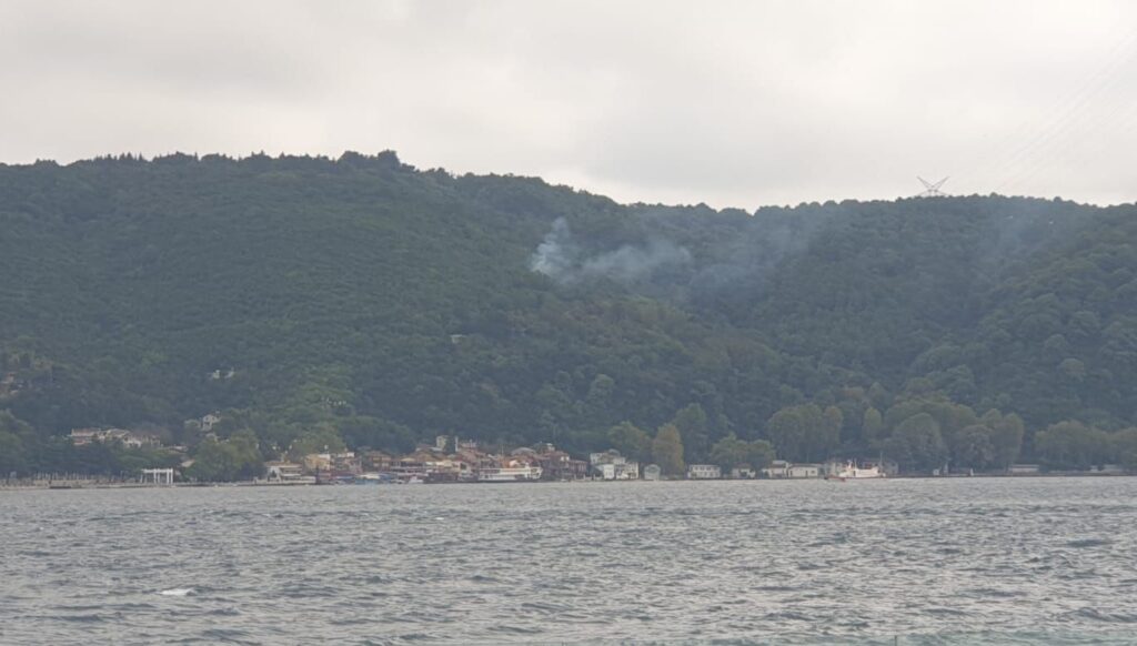 Beykoz’da orman yangını