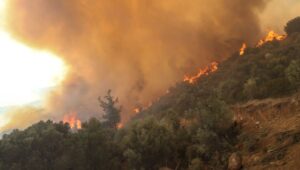 Bilim insanlarının raporu: Manavgat için 6 yıl önce uyarı yapılmış