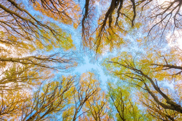 Depozito İade Sistemi’yle hem çevre hem tüketici kazanacak