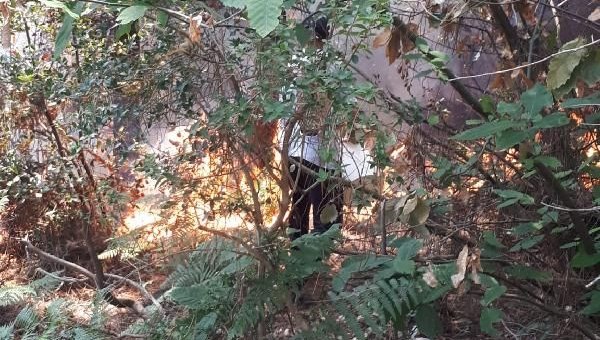İstanbul Beykoz’da orman yangını