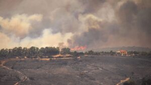 İtalya’da orman yangınları: 30 milyon bal arısı yok oldu