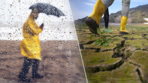 Meteoroloji Genel Müdürlüğü temmuz ayı yağış raporunu açıkladı: Meteoroloji Genel Müdürlüğü temmuz ayı yağış raporunu açıkladı