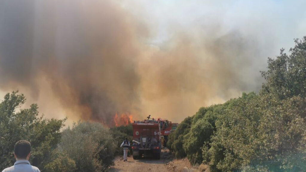 Muğla ve Çanakkale’de orman yangını