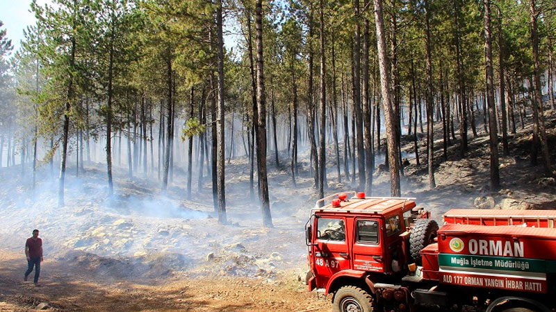 Orman Genel Müdürlüğü, “Hava ve kara araçları için 1,5 milyar TL bütçe ayrıldı” tweetini sildi