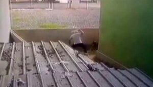 Tavuklarına saldırdı diye köpeği sopayla dövdü