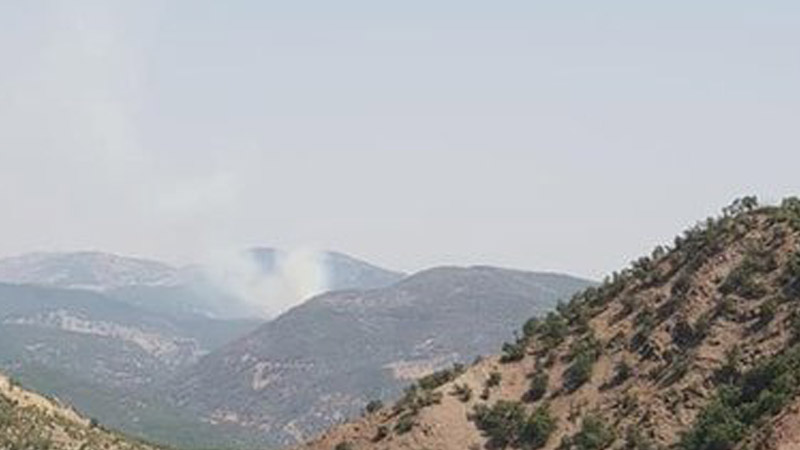 Tunceli Hozat’ta 18 Ağustos’ta başlayan orman yangını sürüyor