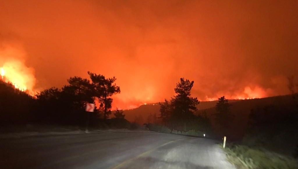 Üç kentte 9 noktada yangın: Bodrum’da iki mahalle tahliye edildi