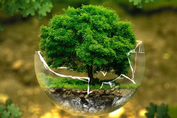 Vakıf Katılım’dan doğa dostu araç finansmanı