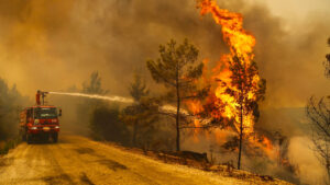 Yangınların önüne geçilebilir mi, hasar nasıl azaltılır?