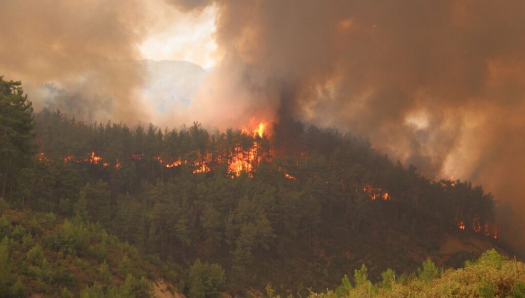 Yıllar önce sunulan rapor: Serviler felaketi önler miydi?