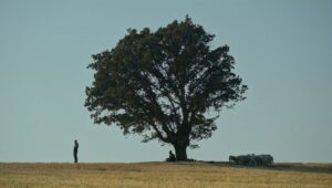 Altın Portakal Film Festivali Ulusal Yarışma Filmleri belli oldu