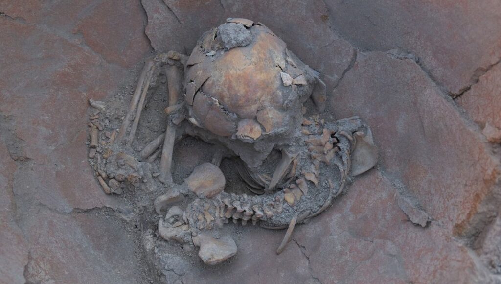 Arslantepe Höyüğü’nde MÖ 3600 yılından kalma 2 çocuk iskeleti bulundu