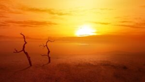 BM’den “dünya 2,7 santigrat derecelik sıcaklık artışına doğru gidiyor” uyarısı