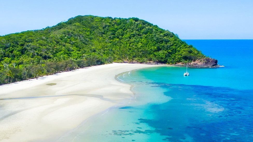 Daintree: Avustralya’da dünyanın en eski tropikal yağmur ormanı yerlilere iade edildi