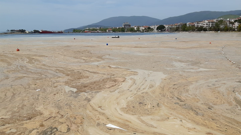 Hidrobiyolog Levent Artüz uyardı: Marmara Denizi vahim durumda, iş müsilajı aşmış durumda; canlı çeşitliliği ‘yok’ kelimesi ile anlatılabilir