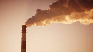 İklim değişikliği: BM’den “Dünya yanlış yolda ilerliyor” uyarısı