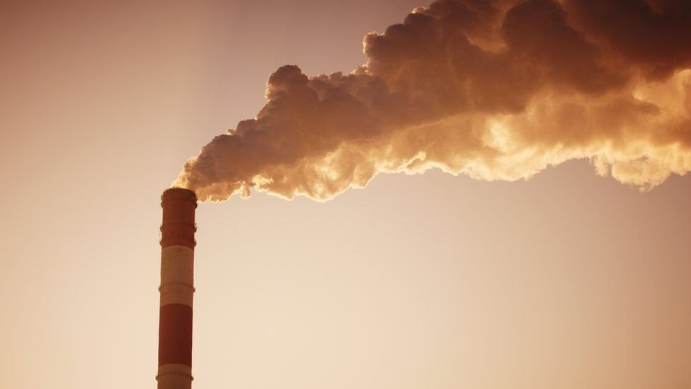 İklim değişikliği: BM’den “Dünya yanlış yolda ilerliyor” uyarısı