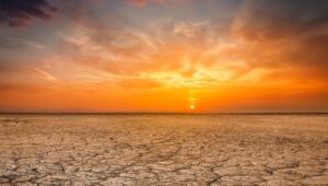 İklim kriziyle mücadelede yeni dönem: Türkiye, Paris İklim Anlaşması’nı onaylayacak