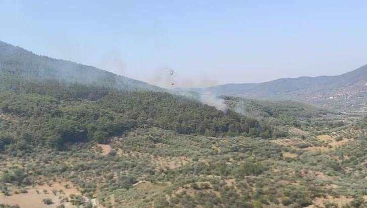 İzmir’de orman yangını