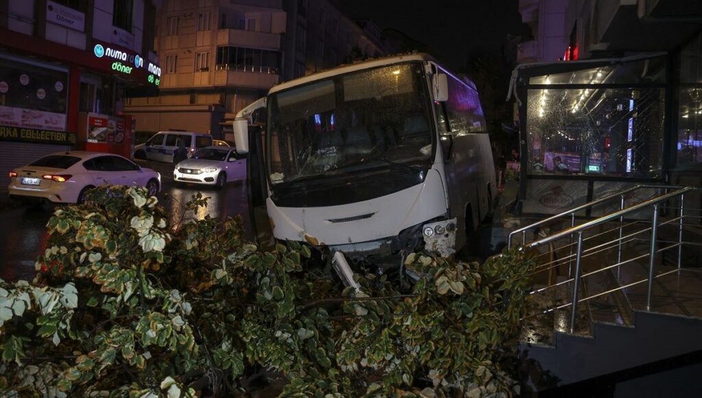 Kaldırıma çıkan midibisün altında can verdi